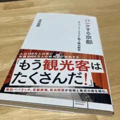 パンクする京都 オーバーツーリズムと戦う観光都市