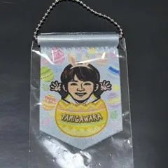 福岡ソフトバンクホークス 谷川原健太 若鷹ガチャ ミニタペストリー イースター