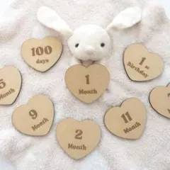 月齢フォトカード♡ マンスリーカード♡14枚セット♡木製♡ニューボーンフォト