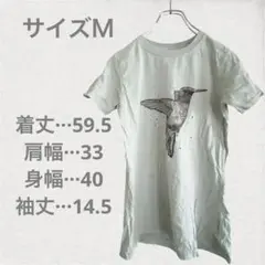 ハチドリプリント Tシャツ Mサイズ 薄いグリーン