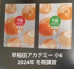 小6 夏期講習 早稲田アカデミー 6年生 上位校 早稲アカ 2024年 小6 夏期講習 早稲田アカデミー 6年生 上位校 早稲アカ 2024年