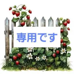 オリンパス ダルマ　レース糸 40番　4個セット