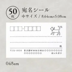 048am 宛名シール（中）50枚 猫 白猫