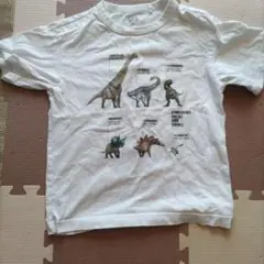 恐竜イラスト Tシャツ 130サイズ　ユニクロ