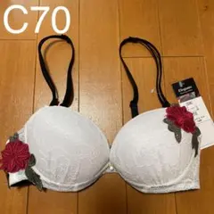 ❤️Eleganteブラジャー　C70