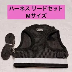 Item thumbnail for item 2fdd4587-edb3-4aac-b696-3e001cc11e09