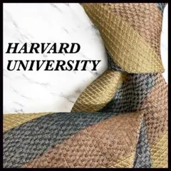 HARVARD UNIVERSITY ハーバード大学 ネクタイ ストライプ