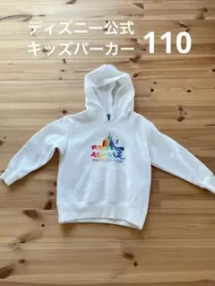 Item thumbnail for item 03078aa5-d7c5-414a-87ea-896b3b9d0332