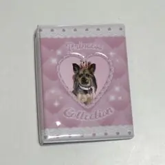 韓国 コレクトブック