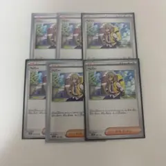 ペパー6枚セット