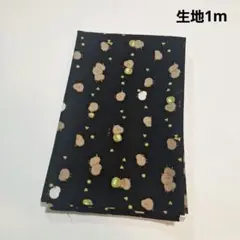 生地1m　コスモテキスタイル　キウイ　鳥　フルーツ