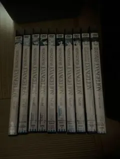 新世紀エヴァンゲリオン DVD 全10巻セット