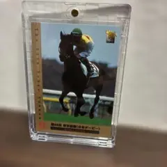 ミツルリュウボウ 第65回日本ダービー トレーディングカード