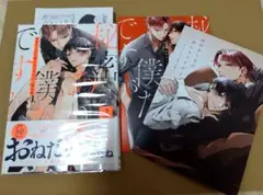 秘密ありきの僕たちですが2 限定版　アニメイト小冊子付　櫻井ナナコ