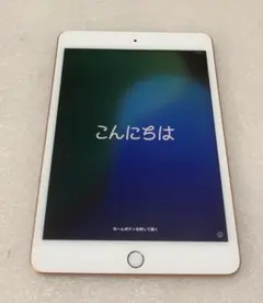 Apple iPad mini (第５世代) Wi-Fi 64GB 訳あり