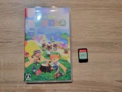 ④あつまれ どうぶつの森 Nintendo Switch