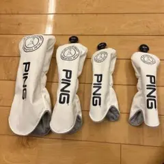 Item thumbnail for item 800b2f57-9da7-4b1b-9656-1978d767f694