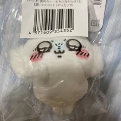 モモンガだらけくじ E賞 マスコット やったゾ！!