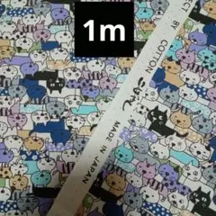 はぎれ　コットンこばやし　集合猫　パープル　ツイル生地　約1ｍ
