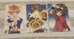 ターゲットツナ　付録ポストカード 3枚セット