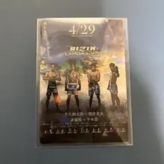 RIZIN ポテトスティック　No.20