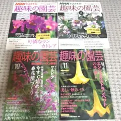 NHK趣味の園芸 ４冊セット　まとめ売り　1月号　2月号　10月号　11月号