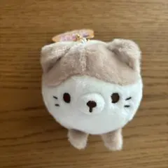 【新品】まんまるだにゃん！マスコットBC