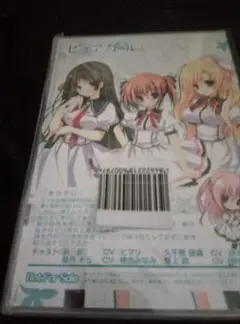 ピュアガール　ソフマップ　CD