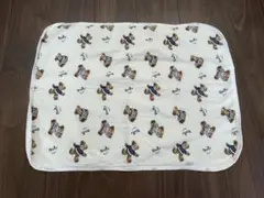 Item thumbnail for item cf2fe88a-da8e-4ac6-ac5a-465e334338b9