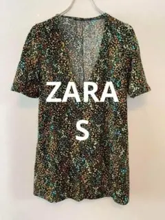 Item thumbnail for item 251153ee-81f1-488f-af26-cff391117dff