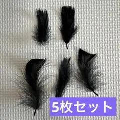 なにわ男子 ライブツアー2025 BON BON VOYAGE 黒い羽