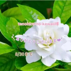tenohira-no-kawaii様 おまとめパーツ(˘͈ᵕ ˘͈ *)♡