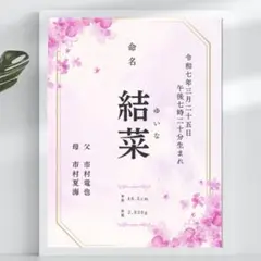 NEWデザイン【即日〜翌日発送】オーダー命名書 ピンク