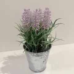 フェイクグリーン ラベンダー