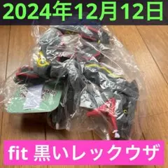 【ポケモンセンター限定】A 黒いレックウザ ぬいぐるみ Pokémon fit