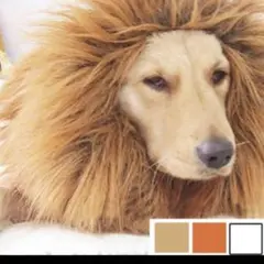 Item thumbnail for item 84c5a0dd-45ce-4248-bea1-8d910c6b0a82