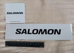 サロモン SALOMON ステッカー正規品