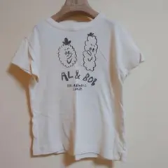 TAO THE ANIMALS OBSERVATORY タオTシャツ 4
