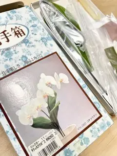 Item thumbnail for item 5808f5ed-684d-4a1c-855d-e062f9e8dc40