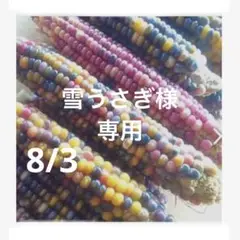 雪うさぎ様　専用