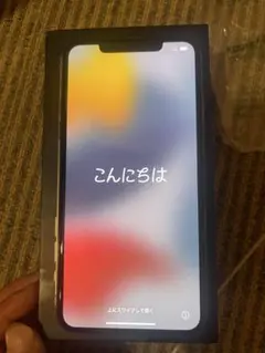 iPhone 11 proMAX本体
