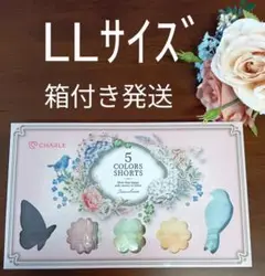 シャルレ5色ショーツLLサイズお尻すっぽり薄手タイプ数量限定商品激安！