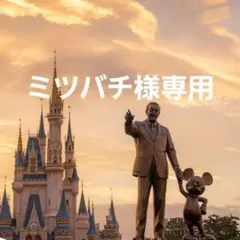 専用