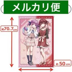 2025年最新】湊あくあ 宝鐘マリン タペストリー モーリー
