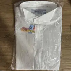 Item thumbnail for item 90d26169-08c2-4e50-83b8-a4582d3ca667