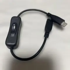 アイネックス PD100W対応 USB2.0 Type-C スイッチケーブル