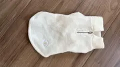 Item thumbnail for item c391d103-36cf-458a-8545-78aa182ed62a