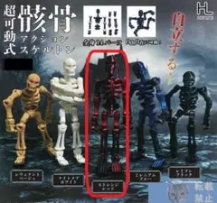 超可動式アクションスケルトン 【ストレンジレッド】カプセルトイ