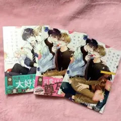 好きにさせてみせるから！ 衣田ぬぬ 1・2巻セット 特典付き BL