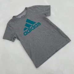 Item thumbnail for item d1861cd5-75a5-47cd-a34d-29aa93d60da6